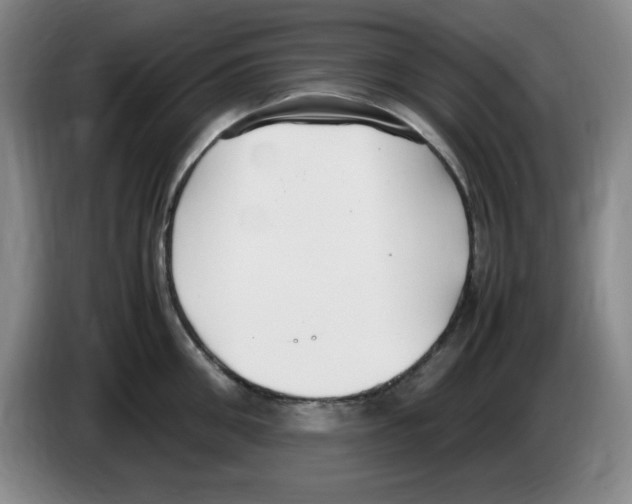 X0000083600906200703091738