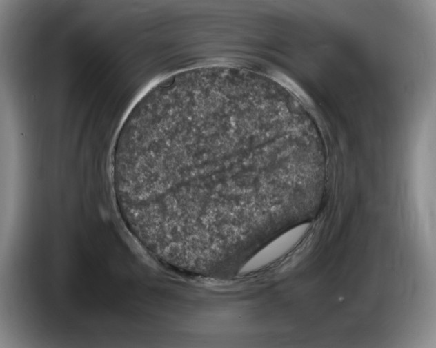 X0000083600907200703091738