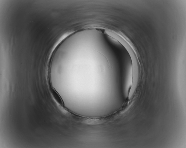 X0000083600909200703091738