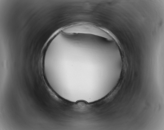 X0000083600910200703091738