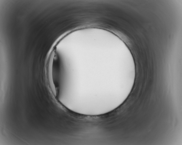 X0000083600912200703091738