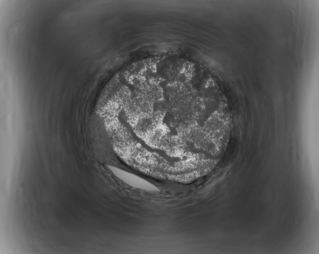 X0000083600913200703091738