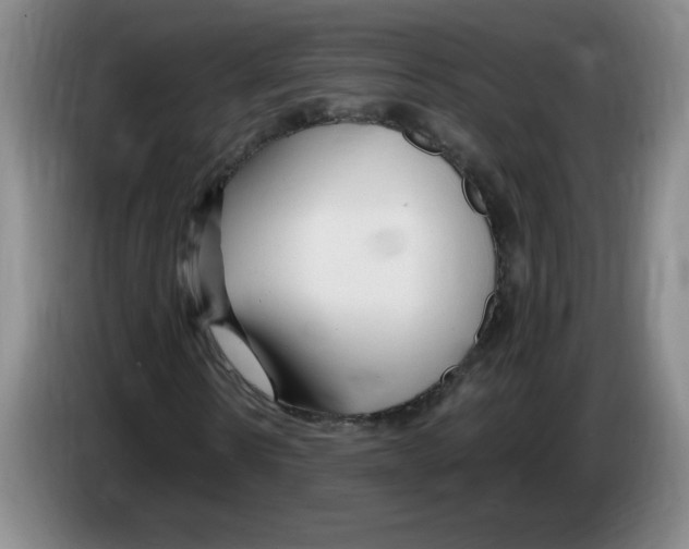 X0000083600914200703091738