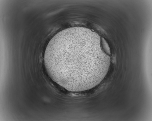 X0000083600915200703091738