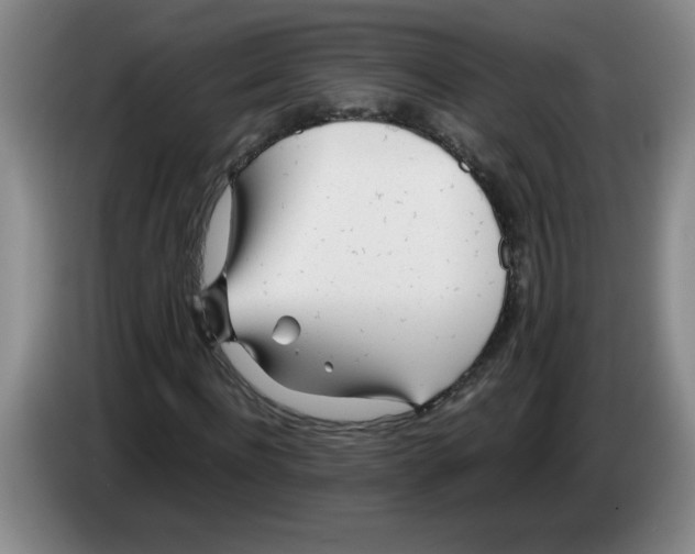 X0000083600916200703091738