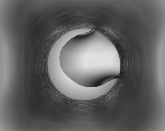 X0000083600917200703091738