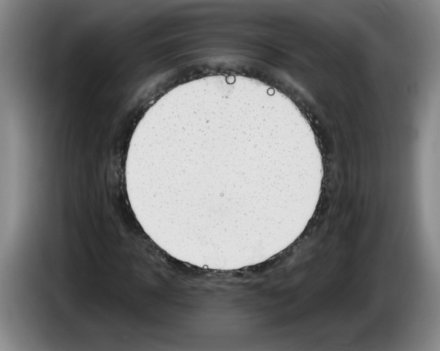 X0000083600918200703091738