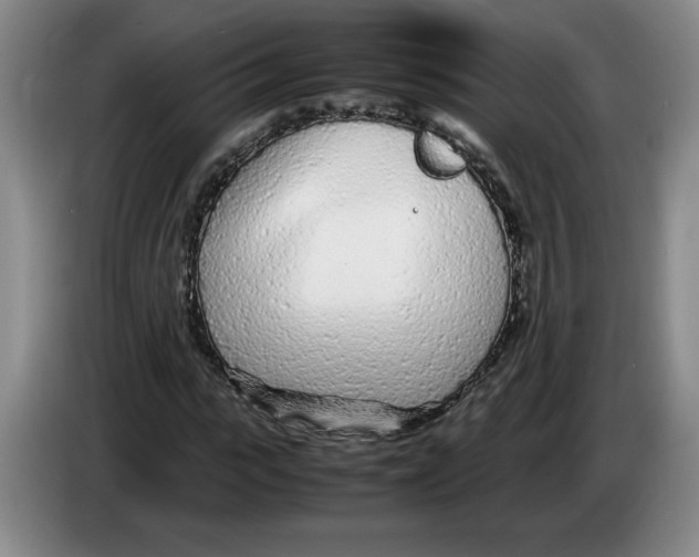 X0000083600919200703091738