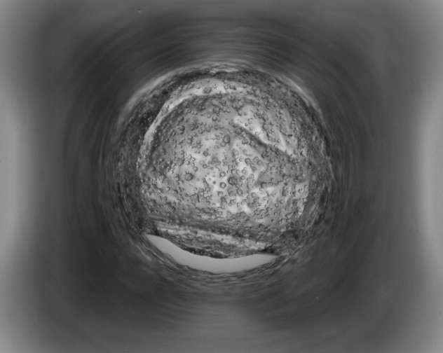 X0000083600920200703091738