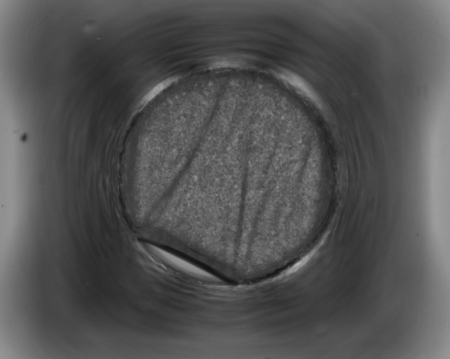 X0000083600921200703091738