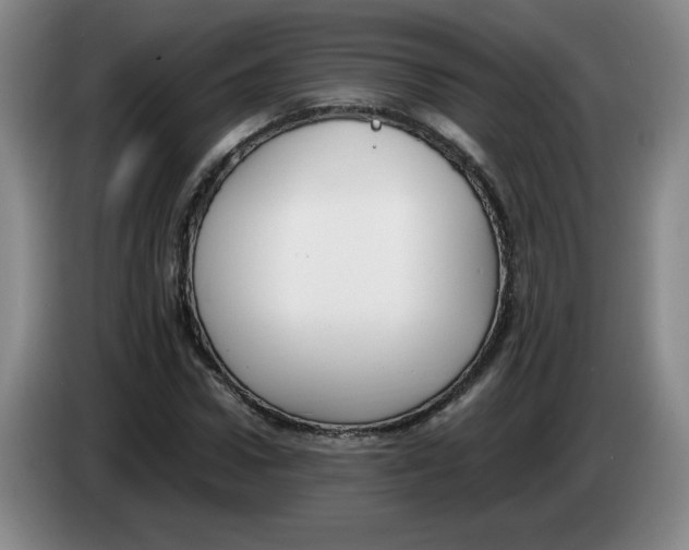 X0000083600922200703091738