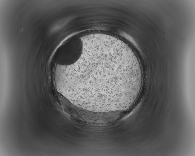 X0000083600923200703091738