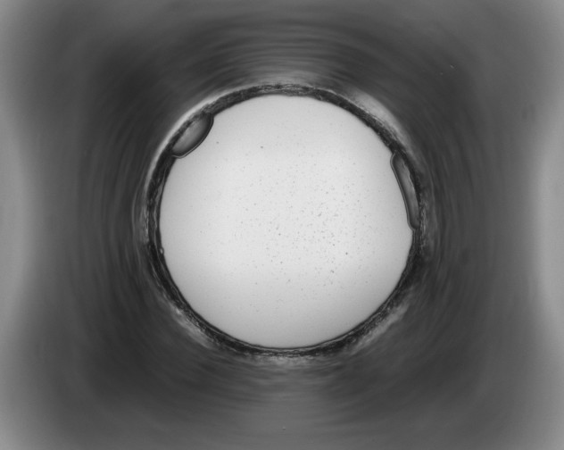 X0000083600924200703091738