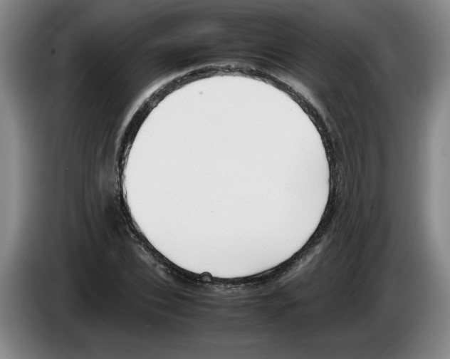 X0000083600927200703091738