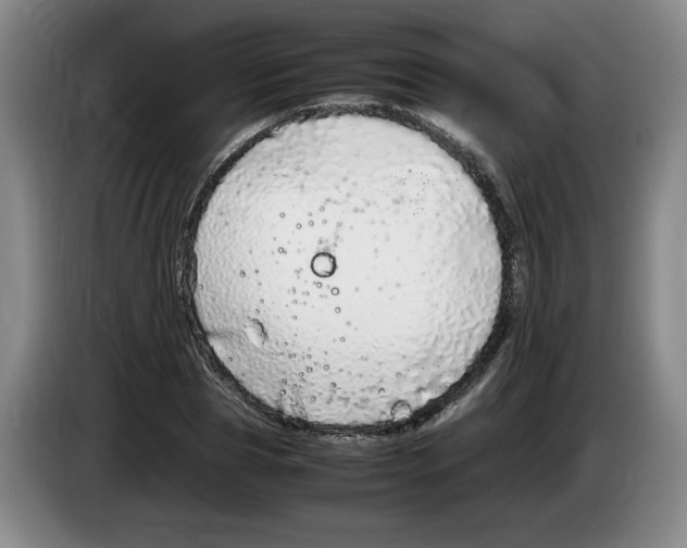 X0000083600929200703091738