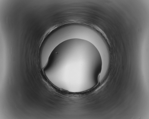 X0000083600930200703091738