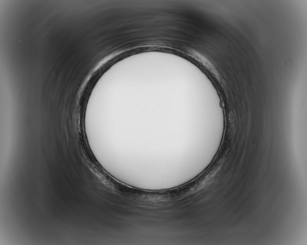 X0000083600931200703091738