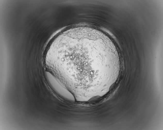 X0000083600933200703091738