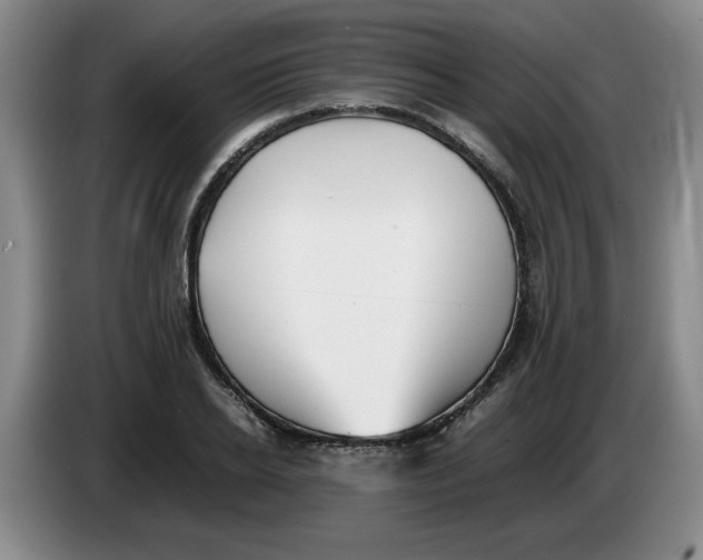 X0000083600934200703091738