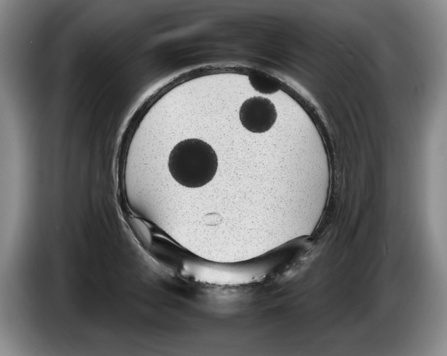 X0000083600935200703091738