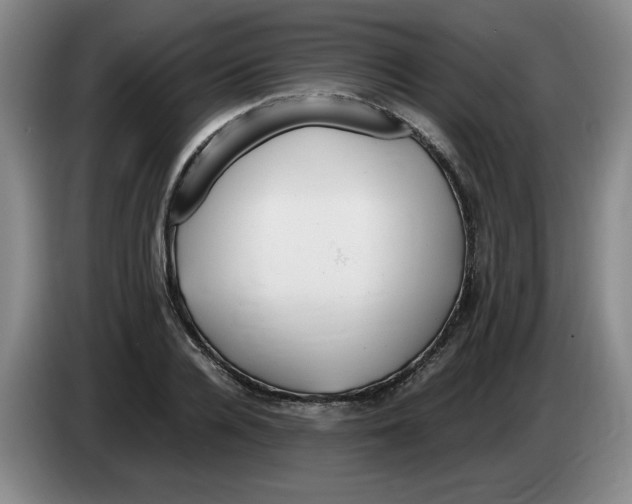 X0000083600936200703091738