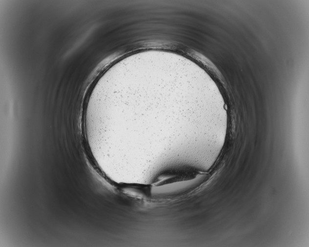 X0000083600938200703091738