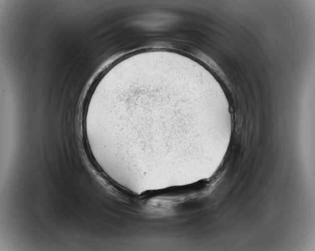 X0000083600939200703091738