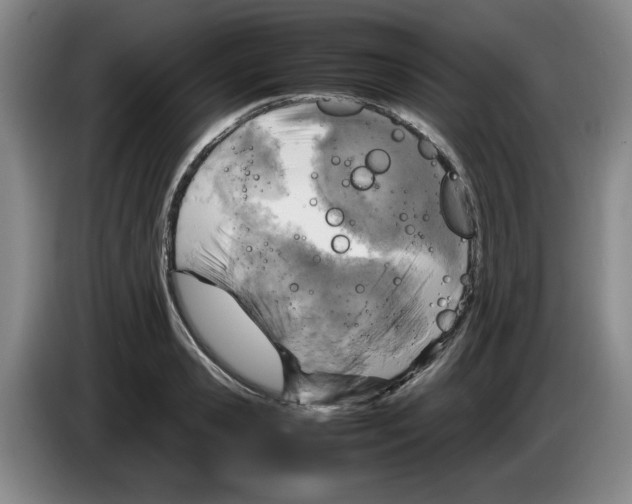 X0000083600941200703091738