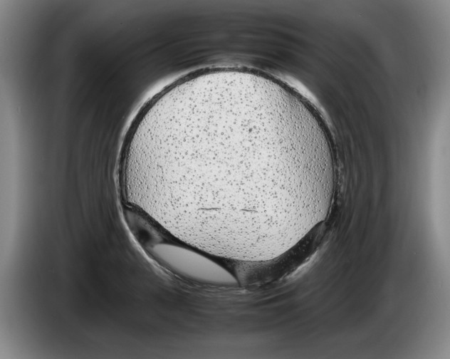 X0000083600943200703091738