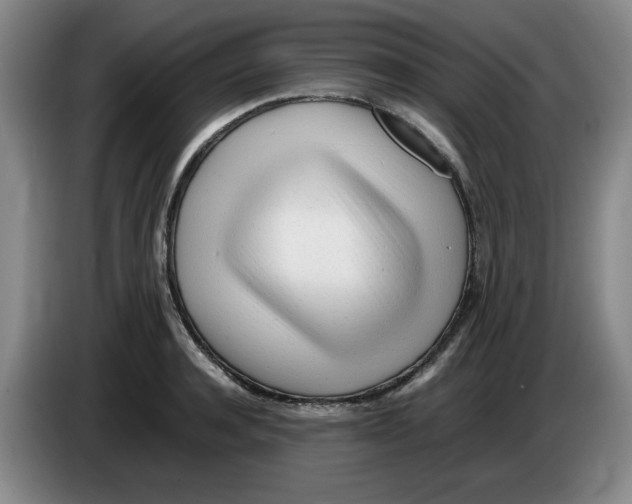 X0000083600944200703091738