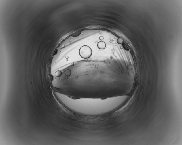 X0000083600945200703091738