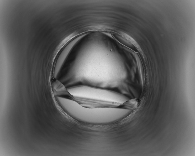 X0000083600946200703091738