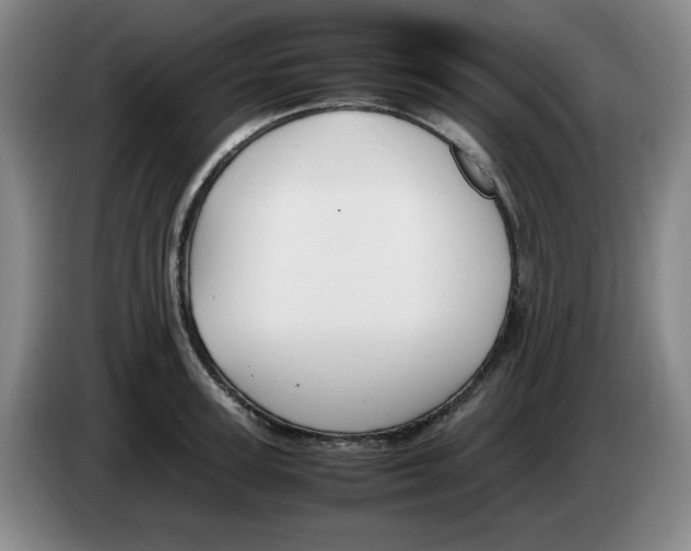 X0000083600947200703091738