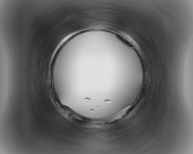 X0000083600948200703091738