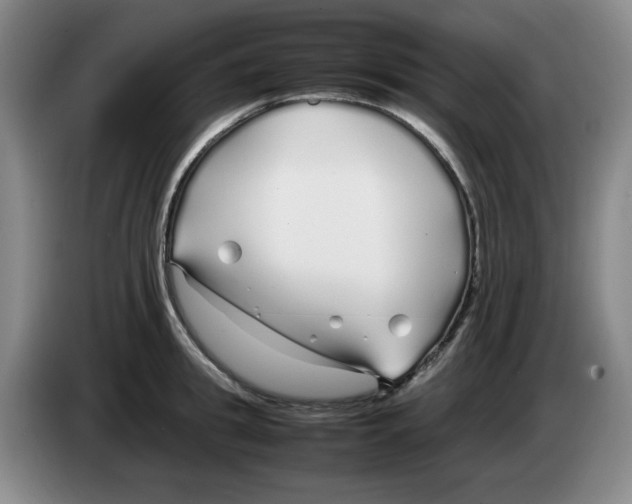 X0000083600949200703091738