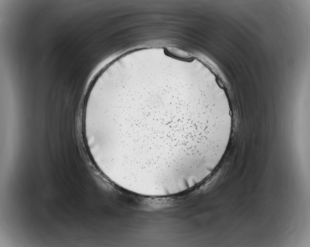 X0000083600952200703091738