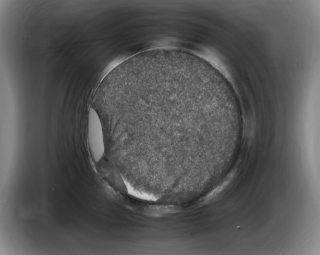 X0000083600953200703091738