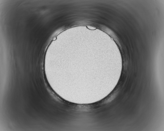 X0000083600954200703091738