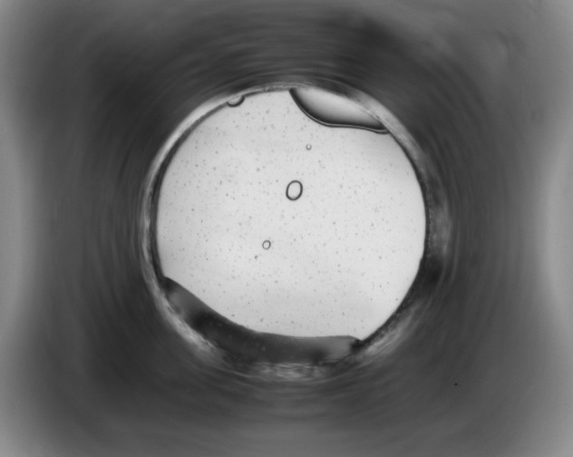 X0000083600955200703091738