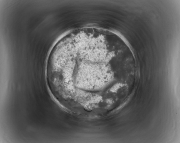 X0000083600957200703091738