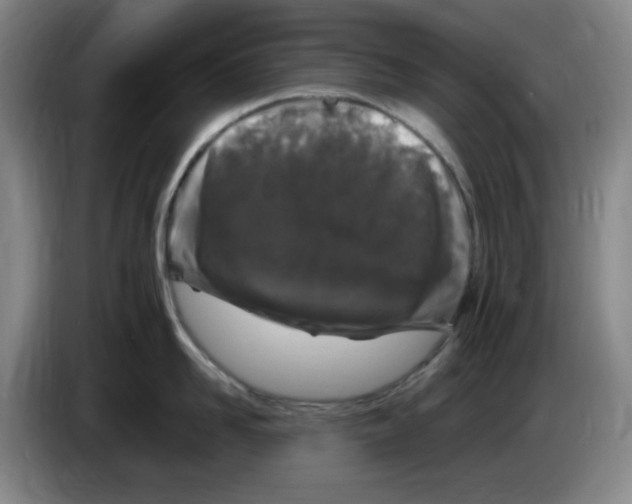 X0000083600958200703091738