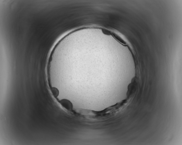 X0000083600959200703091738