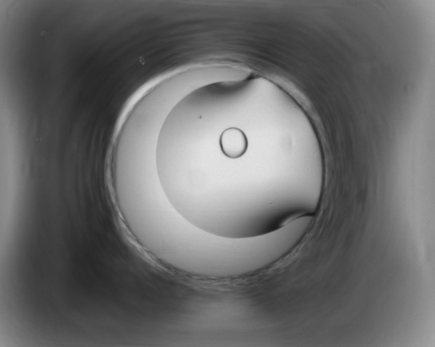 X0000083600960200703091738