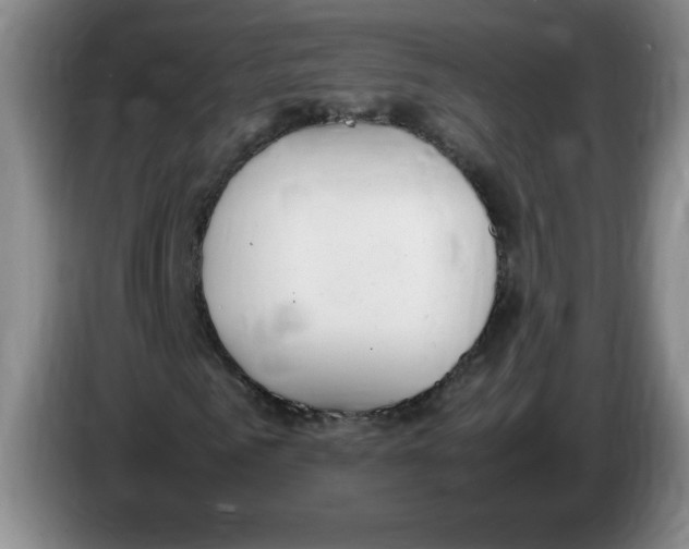 X0000083600961200703091738