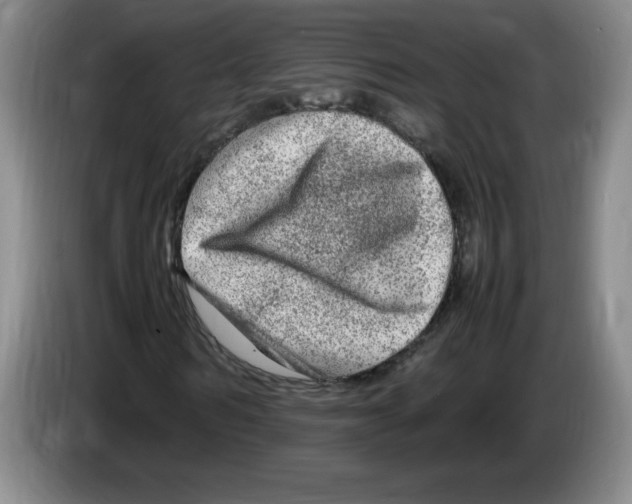 X0000083600962200703091738