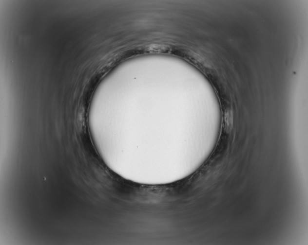 X0000083600963200703091738