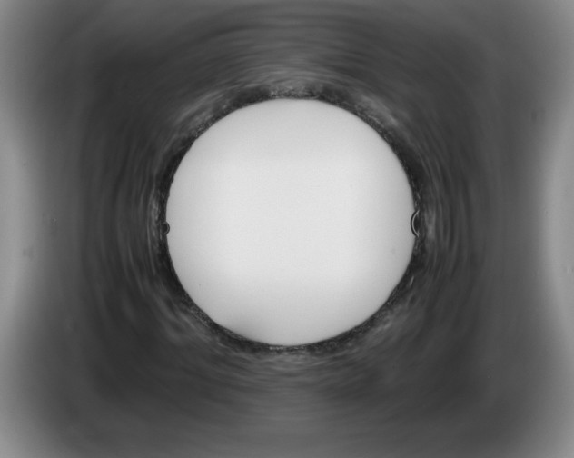 X0000083600964200703091738