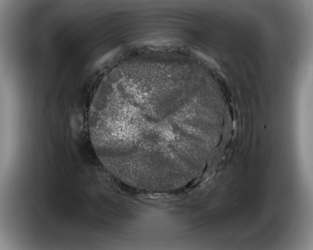 X0000083600966200703091738