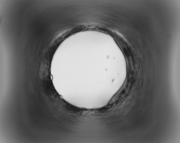 X0000083600967200703091738