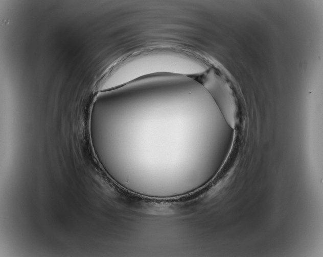 X0000083600969200703091738